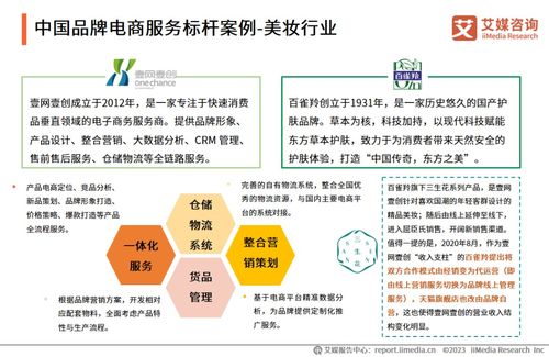 2023年中国品牌电商服务行业深度解析 艾媒咨询报告中的信息咨询服务洞察